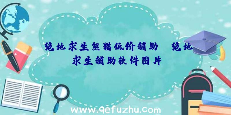 「绝地求生熊猫低价辅助」|绝地求生辅助软件图片